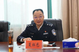 夏桥网红,揭秘网络红人的魅力与影响力